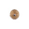 Cap perie cazan 50